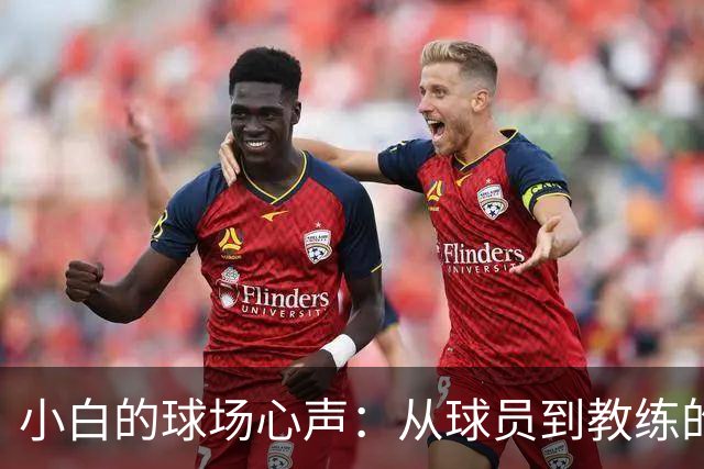 小白的球场心声：从球员到教练的华丽转身